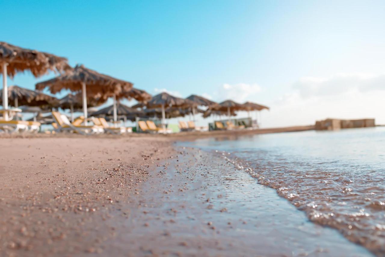 Lemon & Soul Makadi Garden (Adults Only) Otel Hurgada Dış mekan fotoğraf