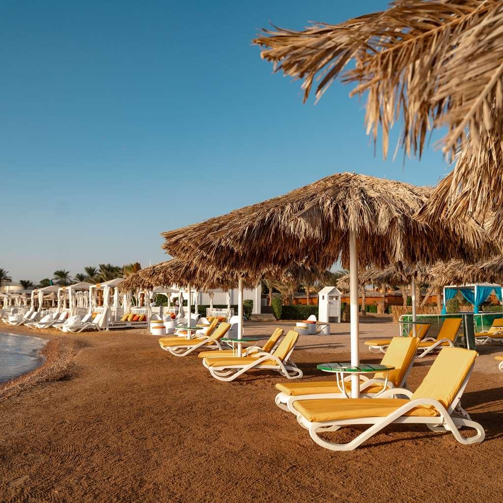 Lemon & Soul Makadi Garden (Adults Only) Otel Hurgada Doğa fotoğraf